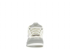 Louis Vuitton Skate Trainer White Grey, front view
